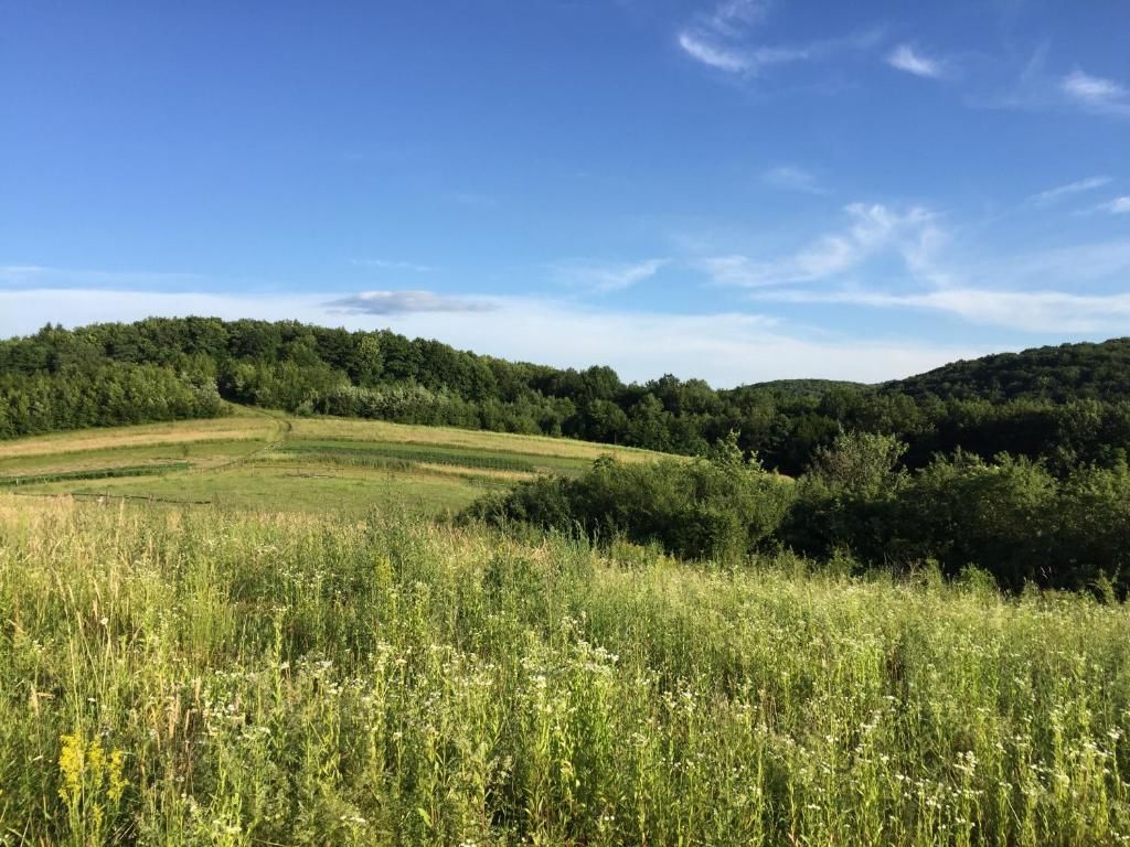 Дома для отпуска Solnce Karpat Поляна-75