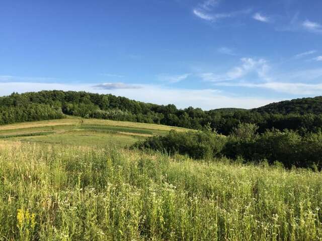 Дома для отпуска Solnce Karpat Поляна-74