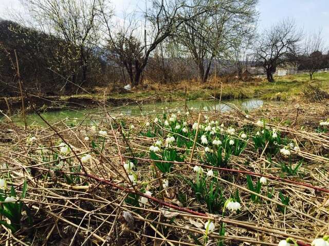 Дома для отпуска Solnce Karpat Поляна-76