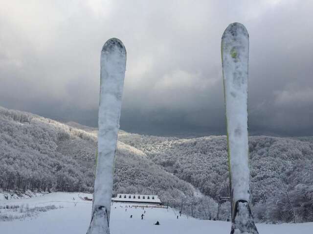 Дома для отпуска Solnce Karpat Поляна-80